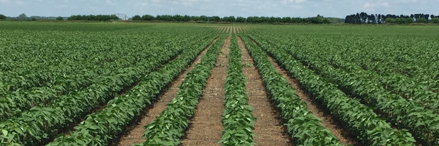 NorthStar Genetics banner