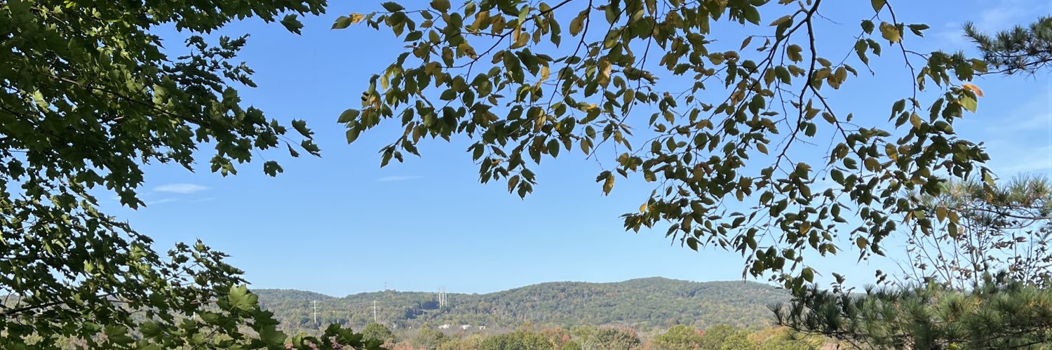 shawnzb1's profile banner image