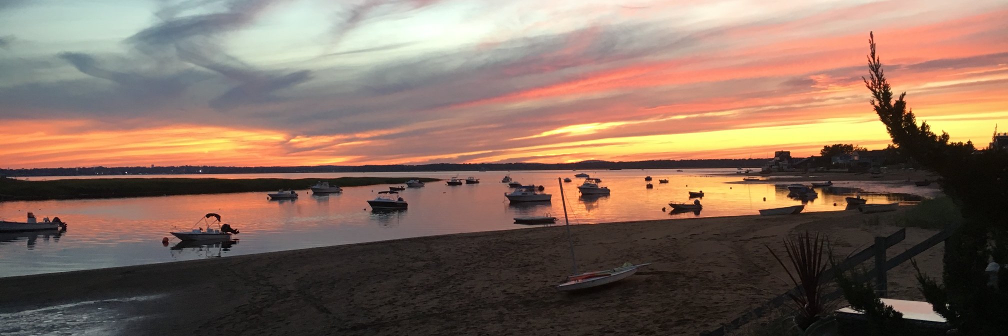 Valerie Armbrust banner