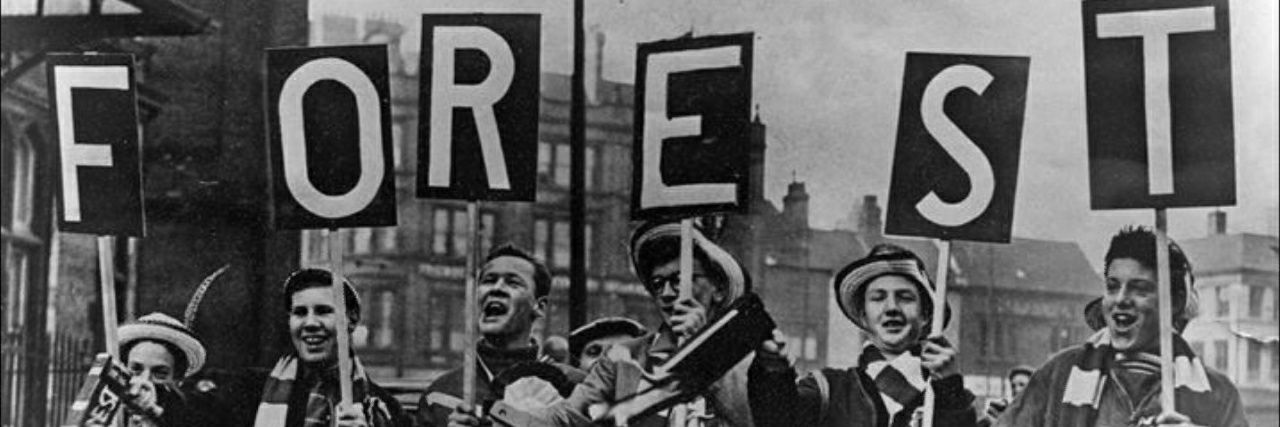 Forestface banner