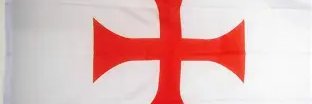 MagaRebel banner