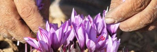 AzamBahrami Profile Banner