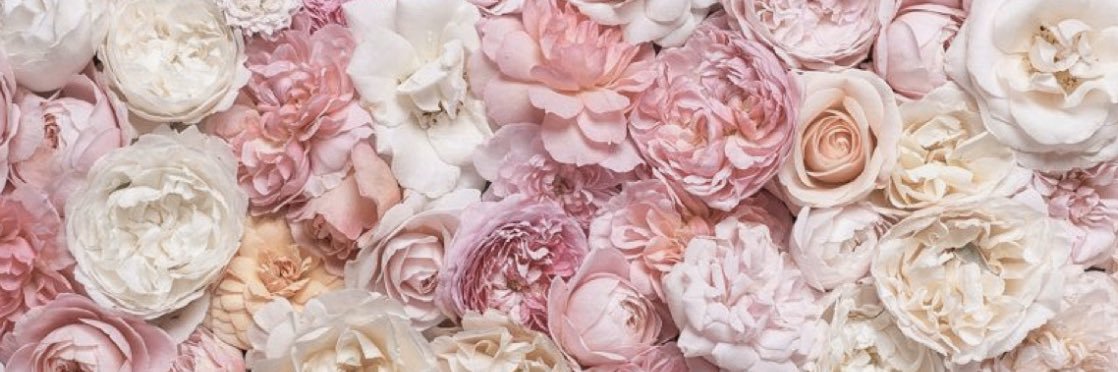 mrscmaxwell's profile banner image