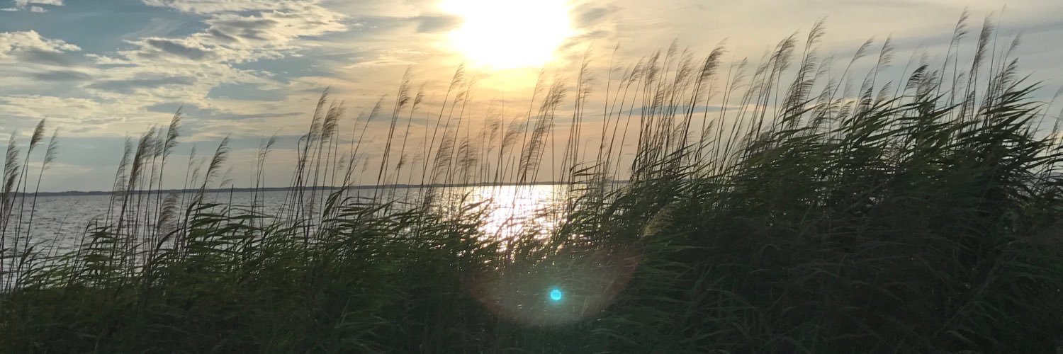 Susan Eichner banner