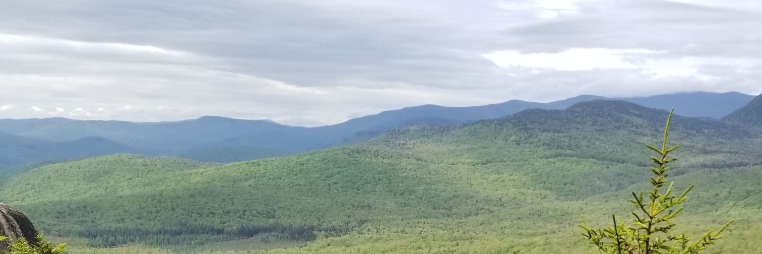 mattgreene816's profile banner image