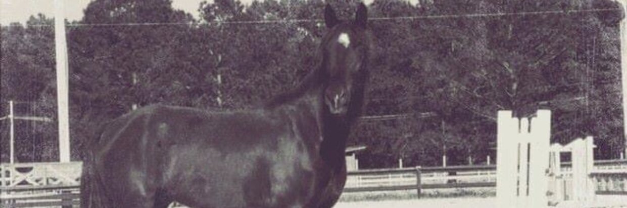 Crossfire Hurricane banner