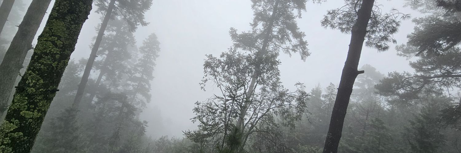 sgleaves3's profile banner image