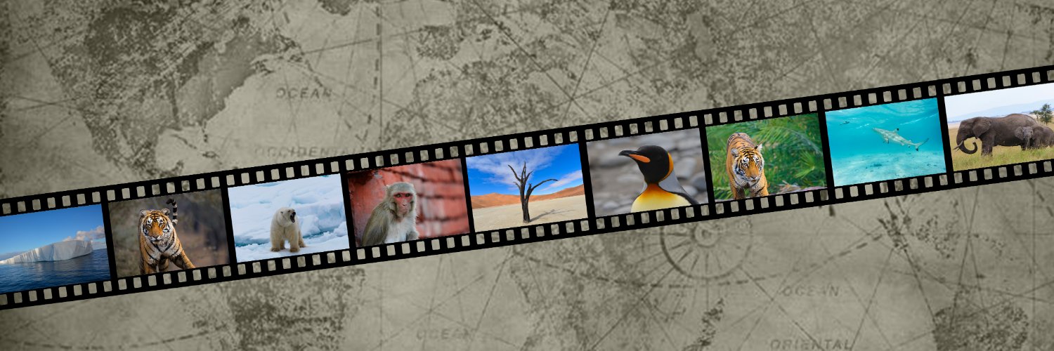 mcgovernwild's profile banner image