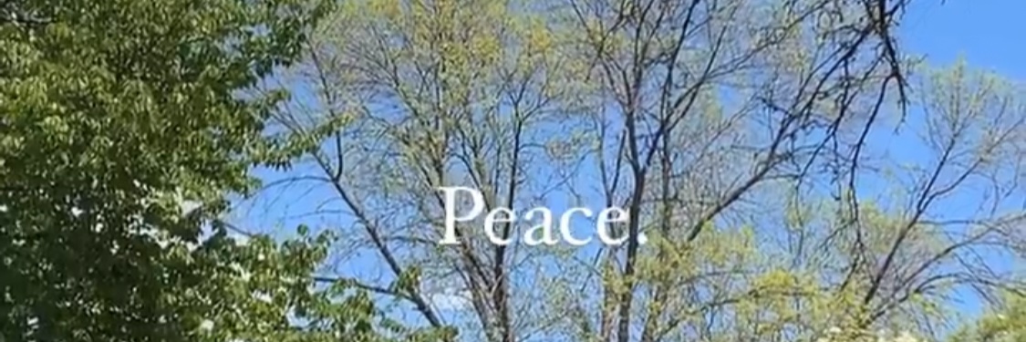 HazeeeT's profile banner image