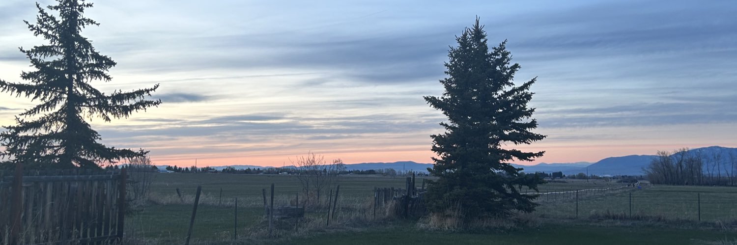 KatelynnLimardo's profile banner image
