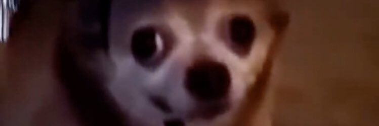 Choostang's profile banner image