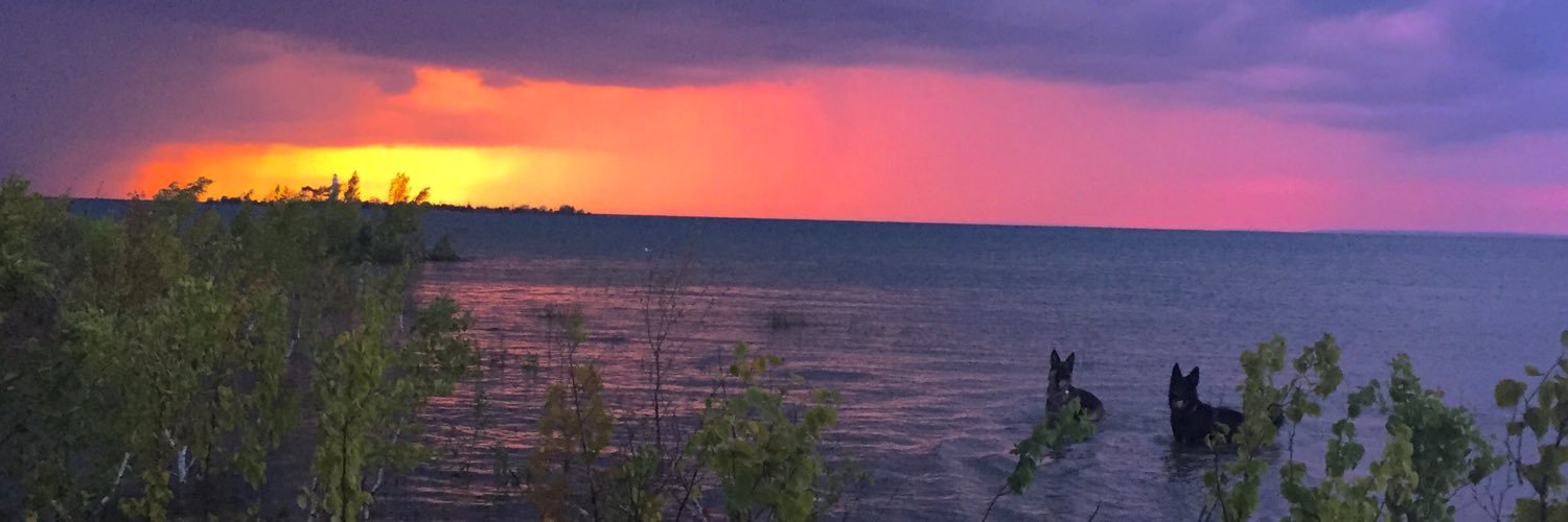 jaycewski's profile banner image