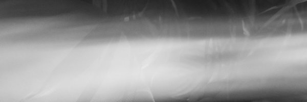 Kouslin Profile Banner
