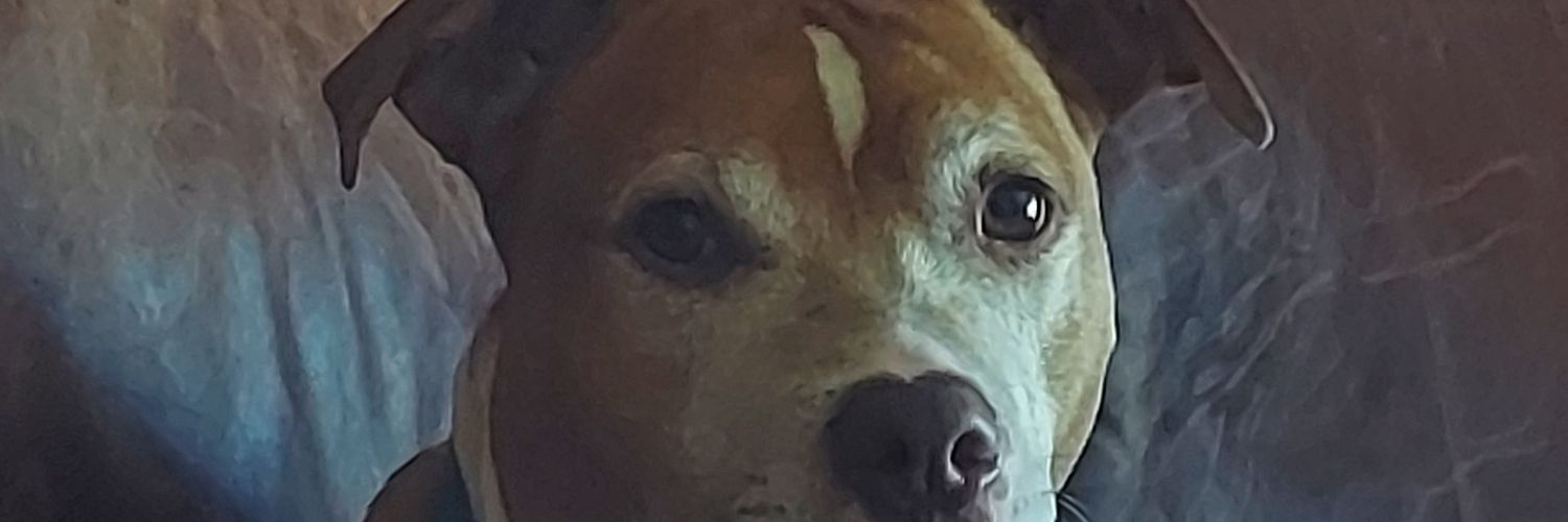 PolkaMitchell's profile banner image