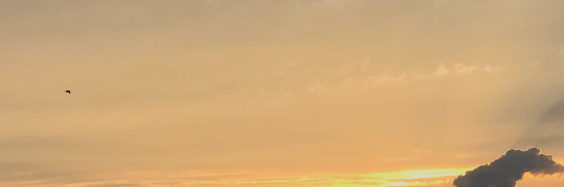kookystew's profile banner image