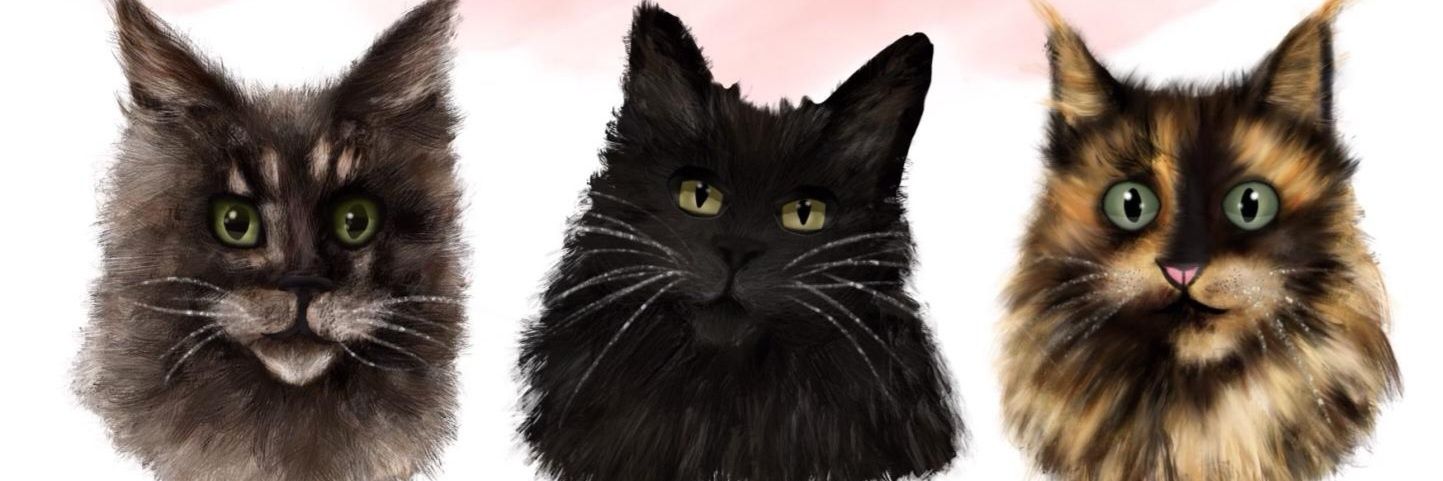 Dr Camilla Stonier banner