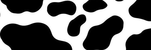 bkpp_er's profile banner image