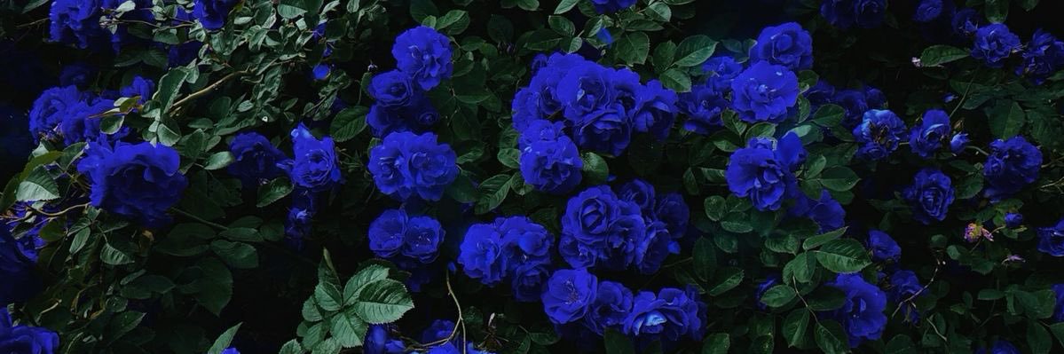 skipp1029's profile banner image