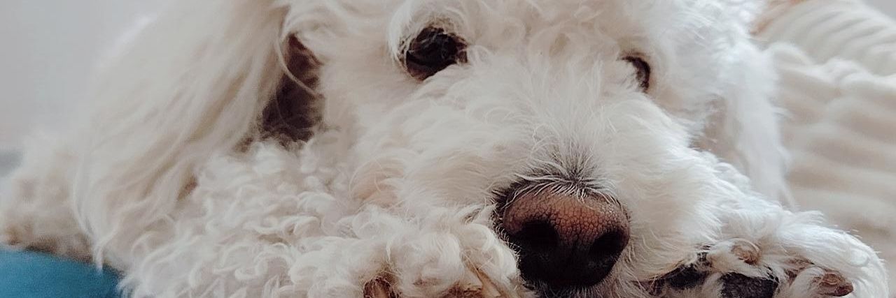 CamiRamosF's profile banner image