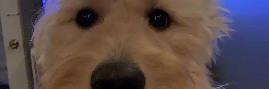mitchell_b5100's profile banner image