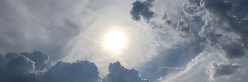 fox_earlj's profile banner image