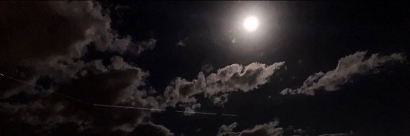 🦅. banner