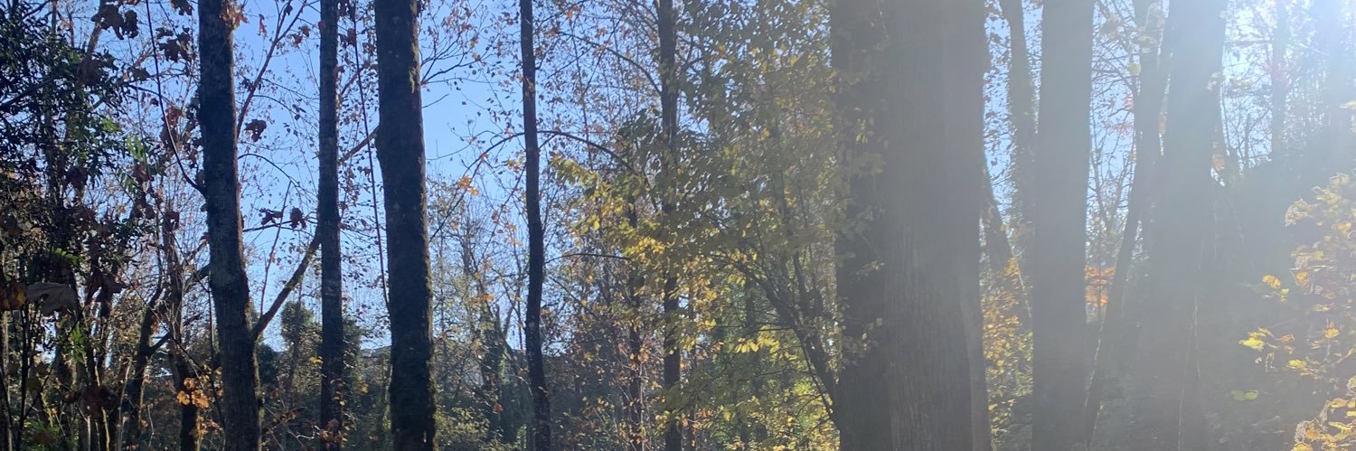 BayleeHeath's profile banner image