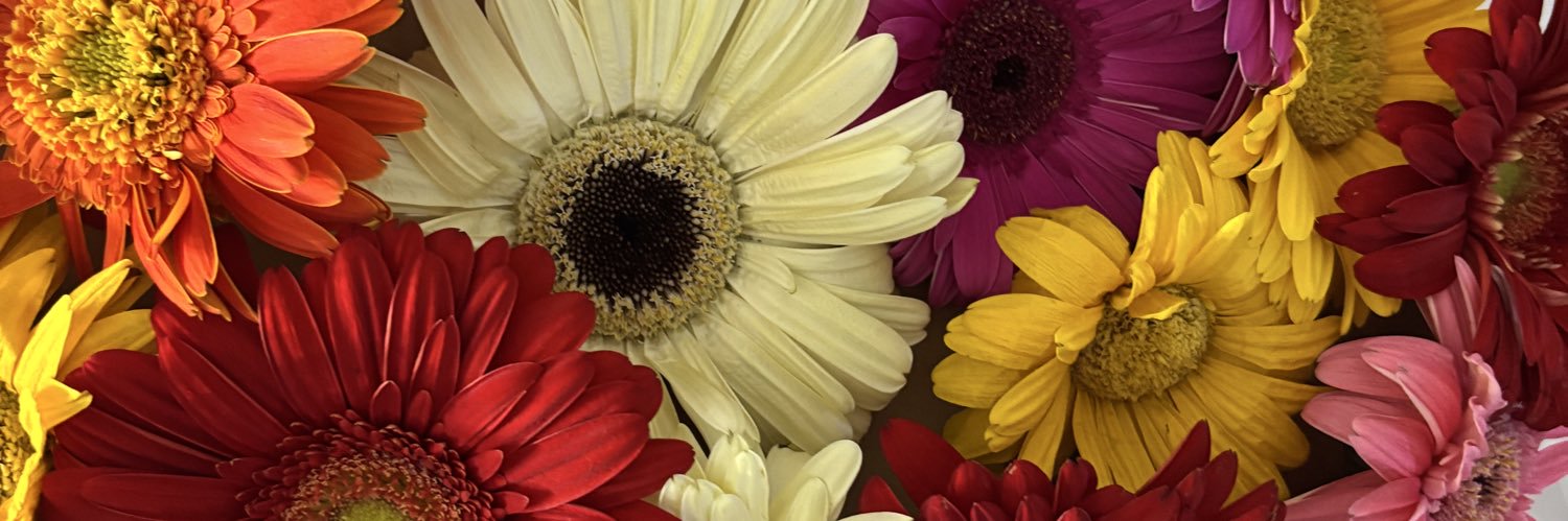 k_bb13's profile banner image