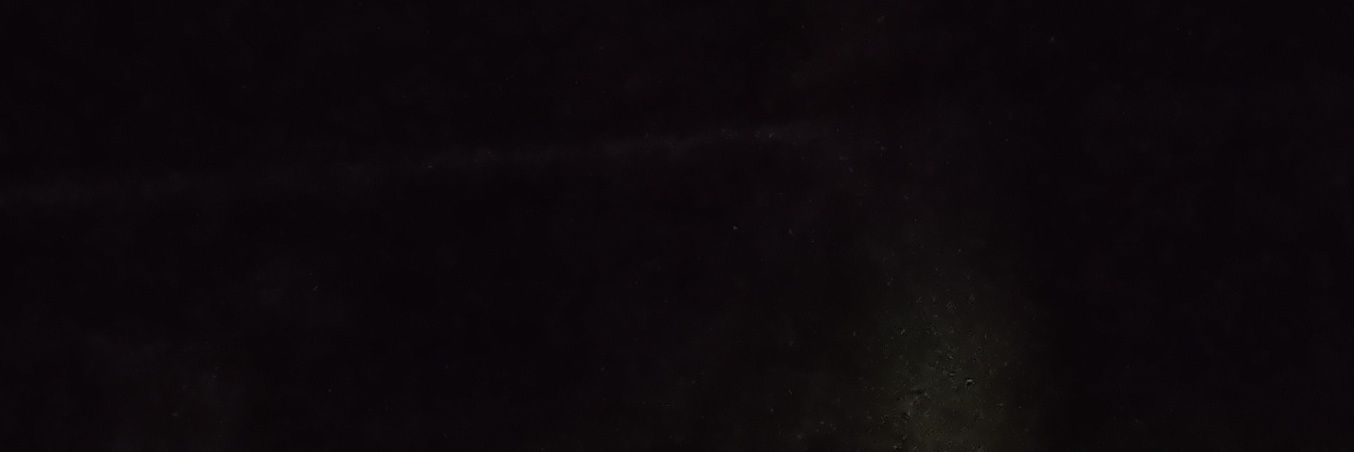 🦭🐨 banner