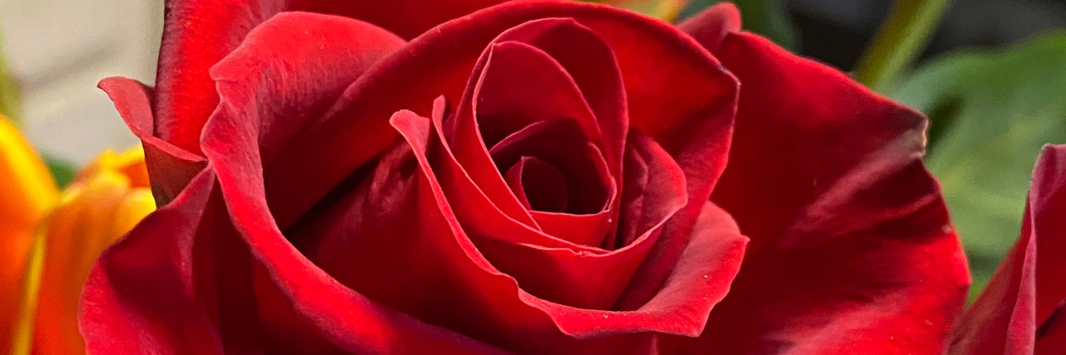 CierraTheFae's profile banner image