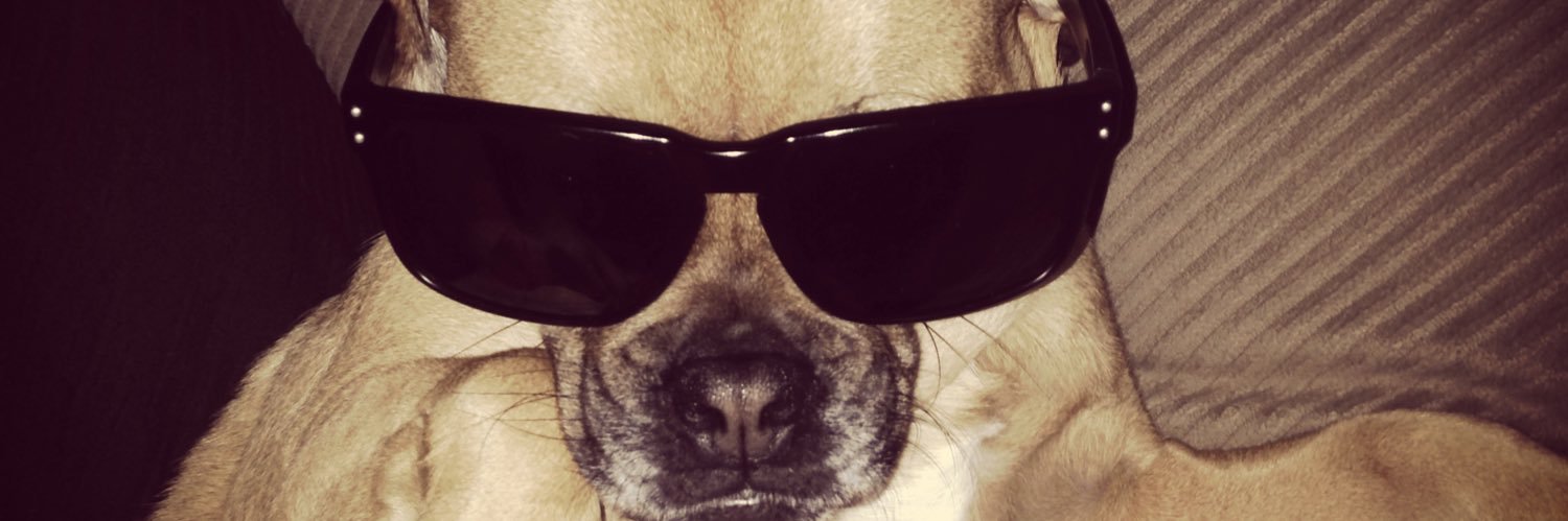 ZJ banner