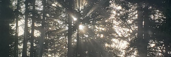 chey_current Profile Banner