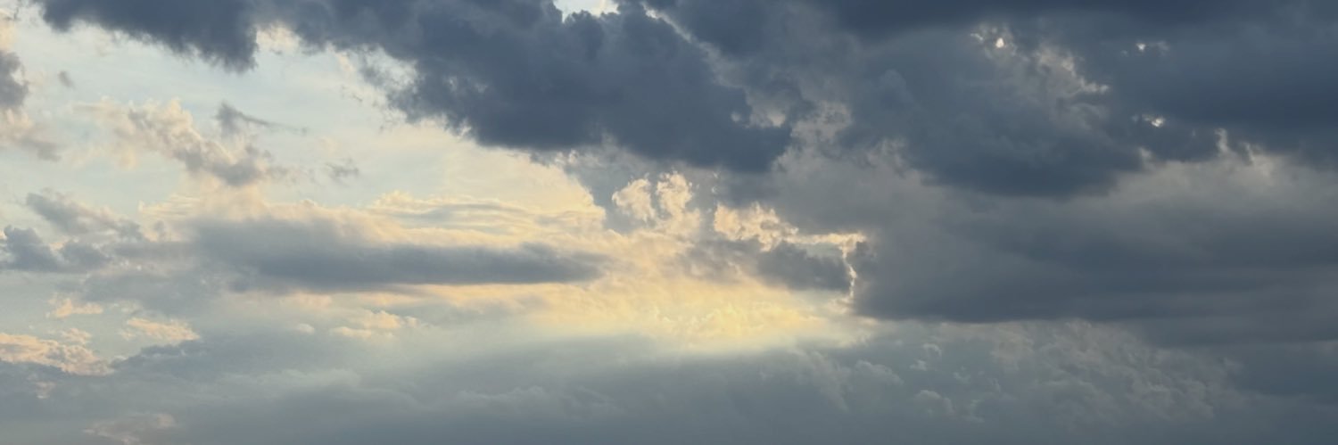 Lit💙🕊️ banner