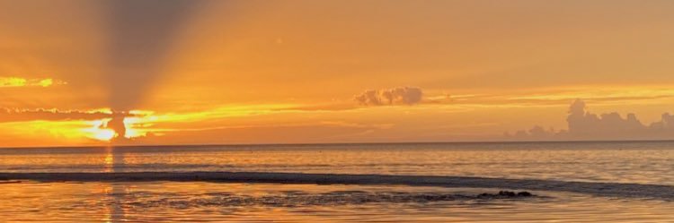 andreabecerrill's profile banner image