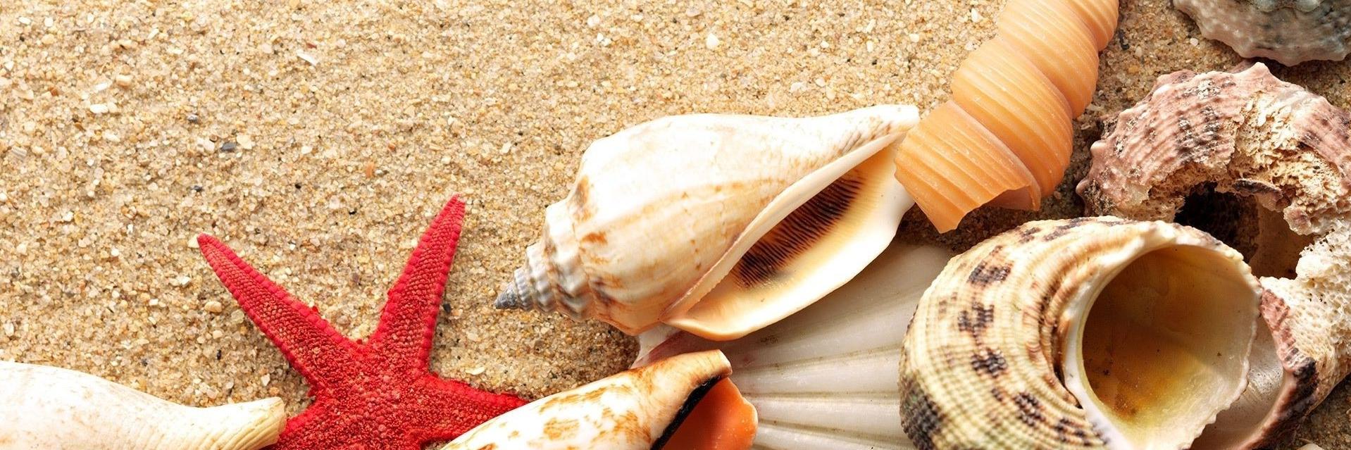 rigma_info's profile banner image
