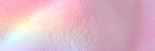 suzu_25256's profile banner image
