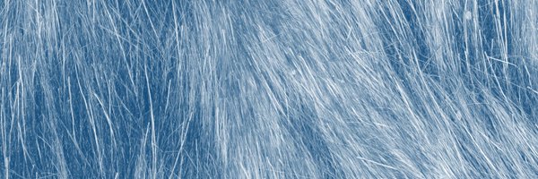 Animals_MDPI Profile Banner