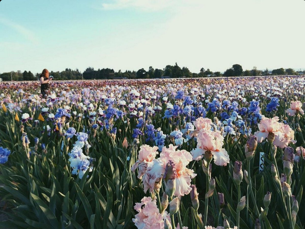 Gabie_Lu's profile banner image