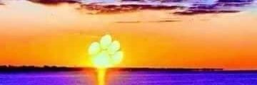megonman's profile banner image