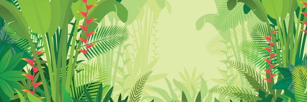 Christer Korsbäck Fittipaldi-Larsson banner