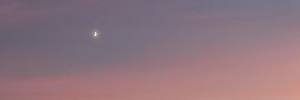 jasmiin_17's profile banner image