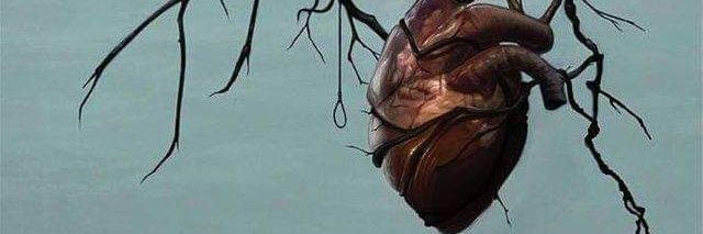 Jlizardip's profile banner image
