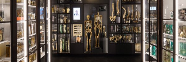 RigaAnatomy Profile Banner