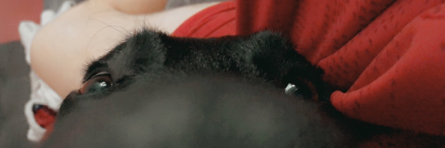 rcoltscott's profile banner image