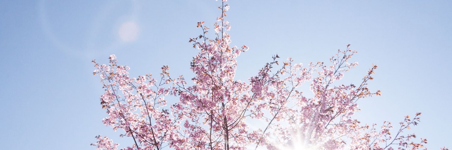 millayong's profile banner image