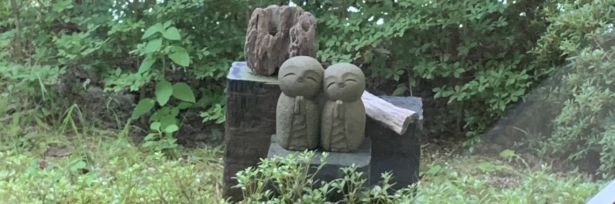 sachitan⭐︎ ごくたまに足軽 banner