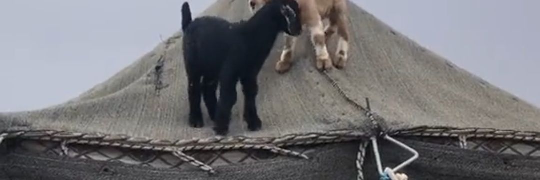 عبدالرحمن البلادي banner