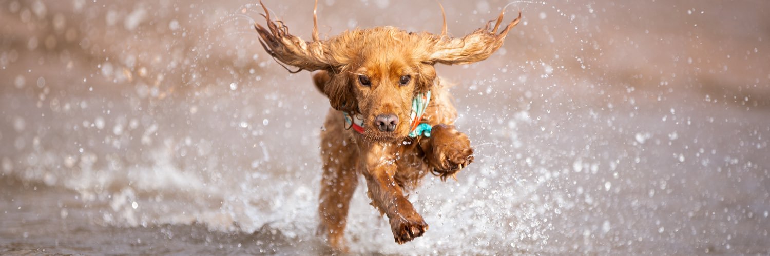 SuperCooperOfTheCotswolds banner