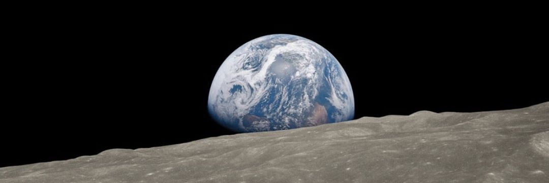 Wait...What?? banner