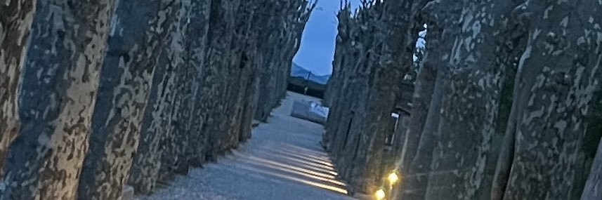 Andreas Johansson 🇺🇦💙 banner